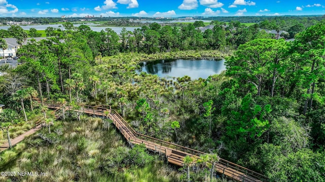 1825 Vista Cove Rd, Saint Augustine, FL 32084 - drone / aerial view of a large body of water