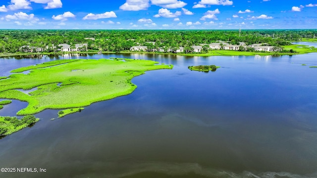 1825 Vista Cove Rd, Saint Augustine, FL 32084 - drone / aerial view of a large body of water