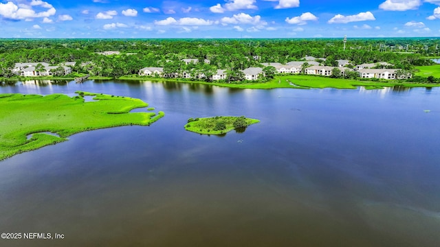 1825 Vista Cove Rd, Saint Augustine, FL 32084 - aerial perspective of suburban area with a tree filled landscape and a nearby body of water