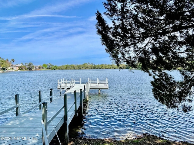 95116 Village Dr, Fernandina Beach, FL 32034 - photo 40