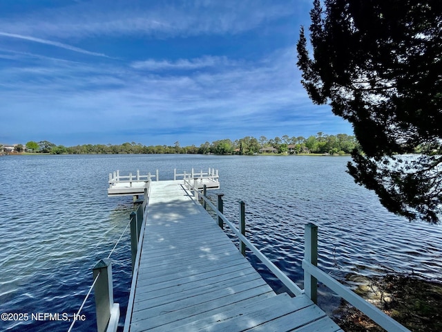 95116 Village Dr, Fernandina Beach, FL 32034 - photo 41