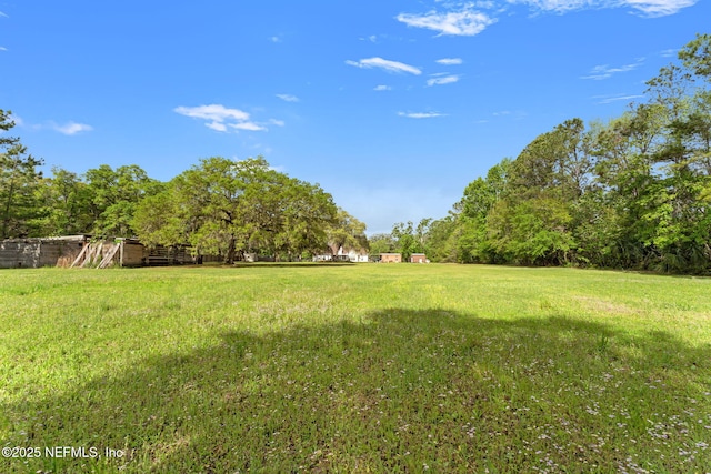 12869 Boney Rd, Jacksonville, FL 32226 - photo 55