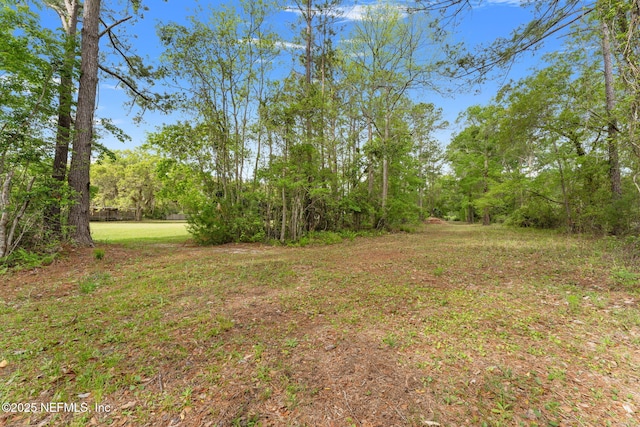 12869 Boney Rd, Jacksonville, FL 32226 - photo 57