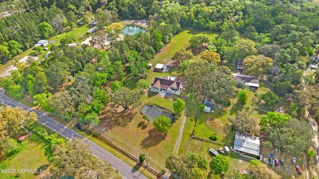 12869 Boney Rd, Jacksonville, FL 32226 - photo 59