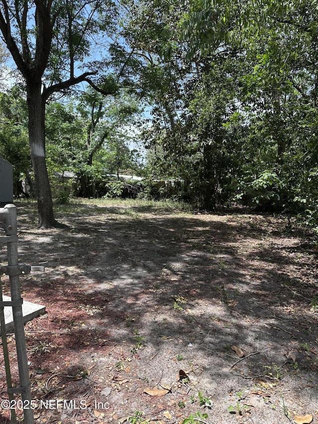 10536 Wooster Dr, Jacksonville, FL 32218 - photo 33