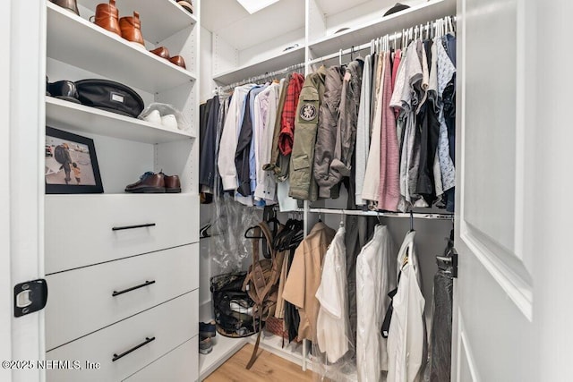 walk in closet featuring wood finished floors