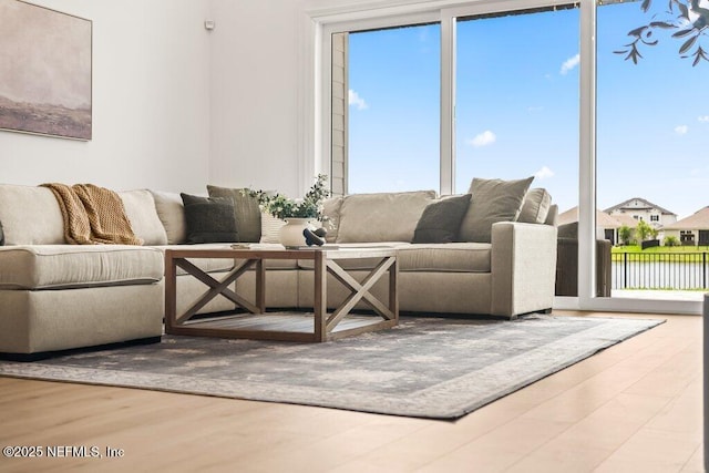 living area featuring wood finished floors