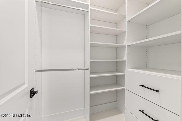 view of walk in closet