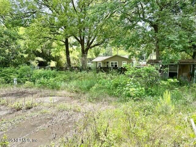 3547 Ring Ln, Jacksonville, FL 32207 - view of yard