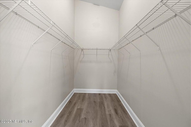 2931 Lantana Lakes Dr W, Jacksonville, FL 32246 - spacious closet with wood finished floors