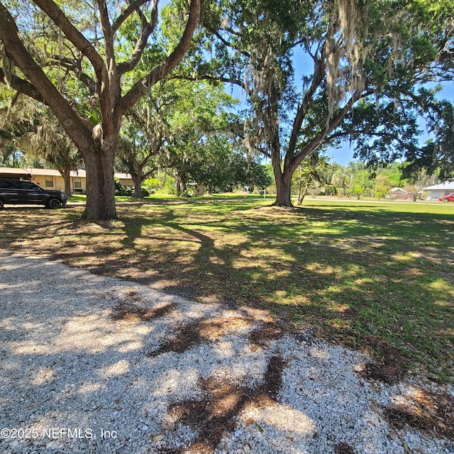 126 Pique Rd, Crescent City, FL 32112 - photo 5