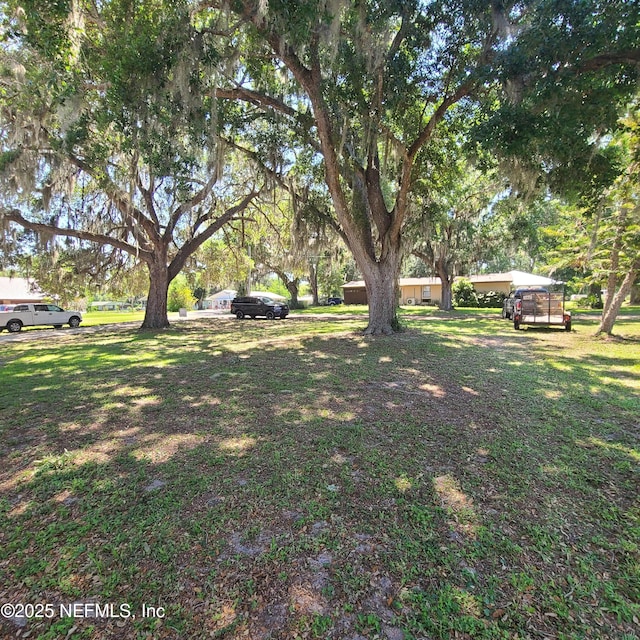 126 Pique Rd, Crescent City, FL 32112 - photo 4