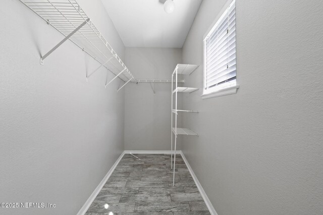 walk in closet featuring wood finished floors