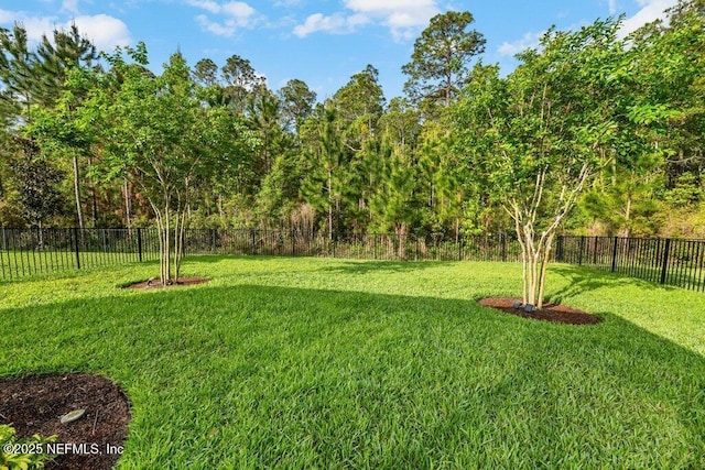 11148 Town View Dr, Jacksonville, FL 32256 - photo 29