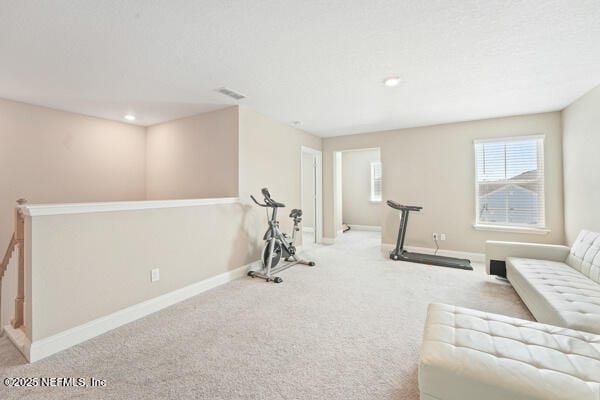 73 Lily Landing Dr, Saint Augustine, FL 32092 - workout area featuring baseboards and carpet