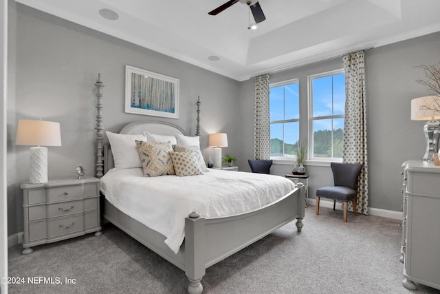 75 Mallow Ct, Saint Johns, FL 32259 - carpeted bedroom featuring baseboards, ceiling fan, and a tray ceiling