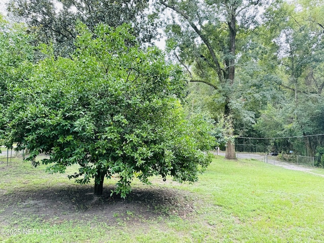 2443 Pine Estates Rd E, Jacksonville, FL 32218 - view of yard featuring fence