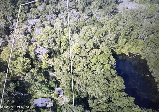 2443 Pine Estates Rd E, Jacksonville, FL 32218 - bird's eye view featuring a forest view