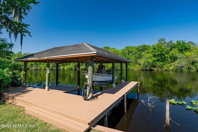view of dock featuring a water view and boat lift