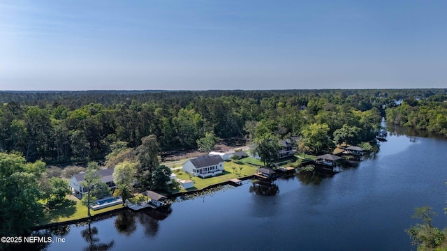 bird's eye view with a wooded view and a water view