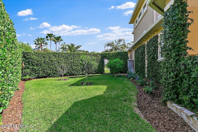 view of yard featuring a fenced backyard