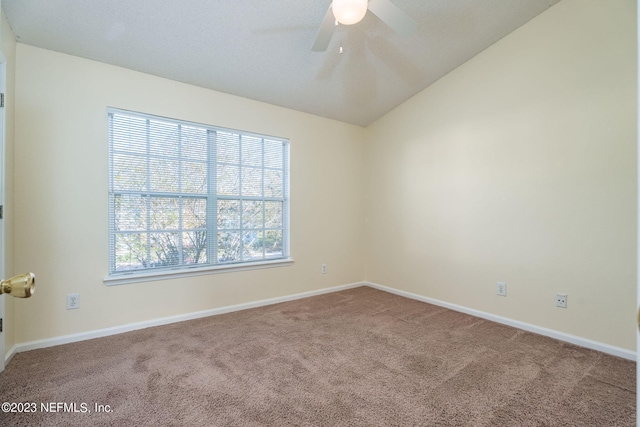 12311 Kensington Lakes Dr Unit 1305, Jacksonville, FL 32246 - photo 12