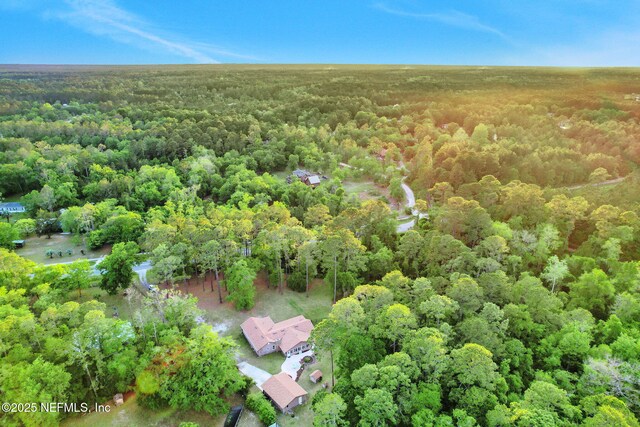 4864 County Road 218, Middleburg, FL 32068 - birds eye view of property with a view of trees