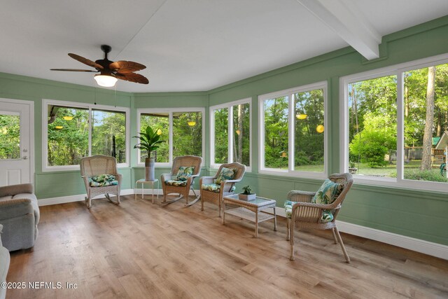 4864 County Road 218, Middleburg, FL 32068 - unfurnished sunroom with baseboards, beam ceiling, and wood finished floors