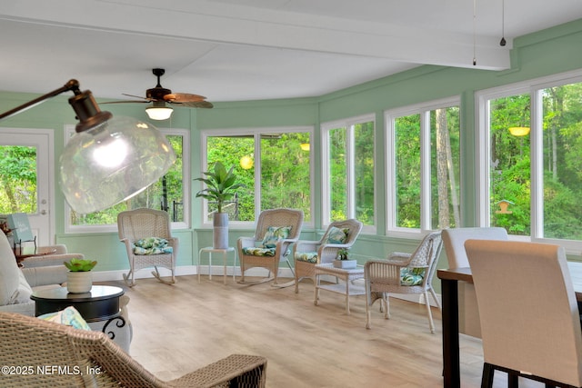 4864 County Road 218, Middleburg, FL 32068 - sunroom with wood finished floors