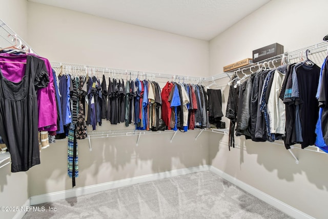 spacious closet with carpet flooring
