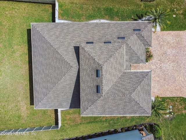 bird's eye view