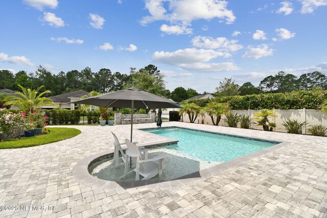258 Haas Ave, Saint Augustine, FL 32095 - view of swimming pool featuring a fenced backyard and a patio