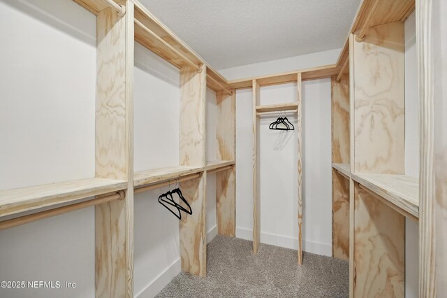 4140 Ripken Cir W, Jacksonville, FL 32224 - photo 24