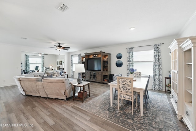 3313 Loofah Pl, Green Cove Springs, FL 32043 - living room featuring ornamental molding, a ceiling fan, visible vents, and wood finished floors