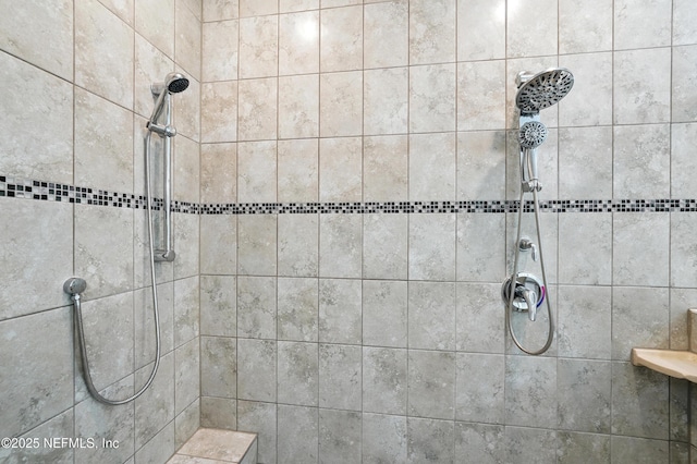 3313 Loofah Pl, Green Cove Springs, FL 32043 - interior details featuring tiled shower