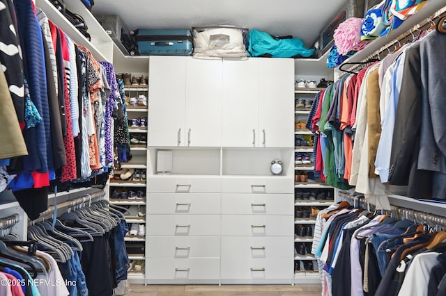 3313 Loofah Pl, Green Cove Springs, FL 32043 - view of spacious closet