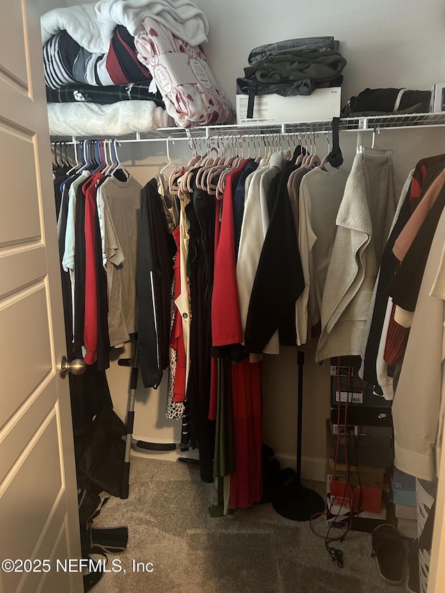 7133 Red Timber Rd, Jacksonville, FL 32244 - walk in closet with carpet