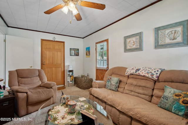 13509 Beall Ave, Jacksonville, FL 32218 - photo 13