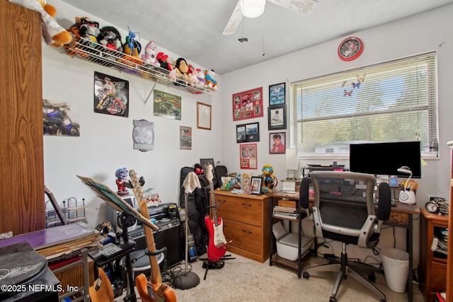 13509 Beall Ave, Jacksonville, FL 32218 - photo 24