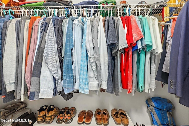 view of spacious closet