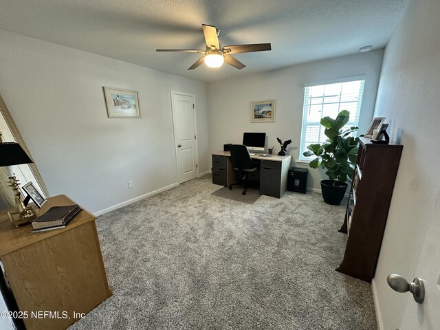 835 Laurel Valley Dr, Orange Park, FL 32065 - photo 32