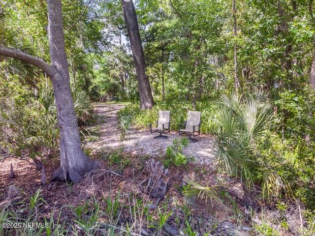 28 Agnue Ave, Jacksonville, FL 32216 - photo 10