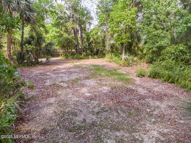 28 Agnue Ave, Jacksonville, FL 32216 - photo 12
