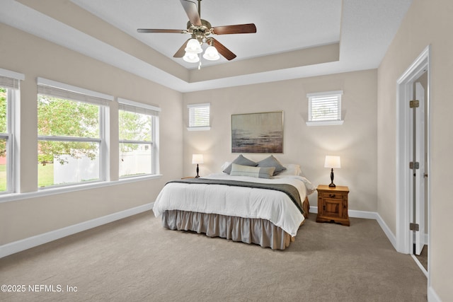 243 Olivette St, Saint Johns, FL 32259 - carpeted bedroom with multiple windows, a tray ceiling, and baseboards