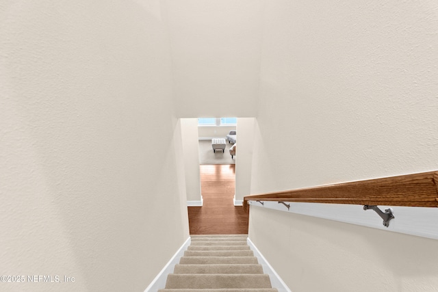 243 Olivette St, Saint Johns, FL 32259 - staircase featuring baseboards and wood finished floors