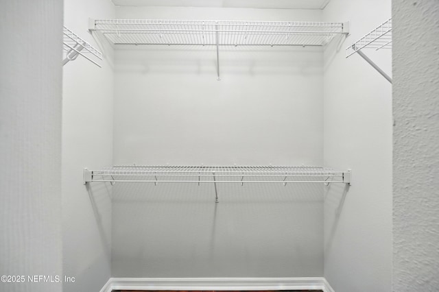 117 Sterling Hill Dr, Jacksonville, FL 32225 - view of walk in closet