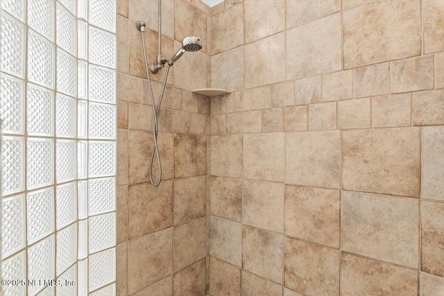 13648 Marsh Harbor Dr N, Jacksonville, FL 32225 - room details with a tile shower