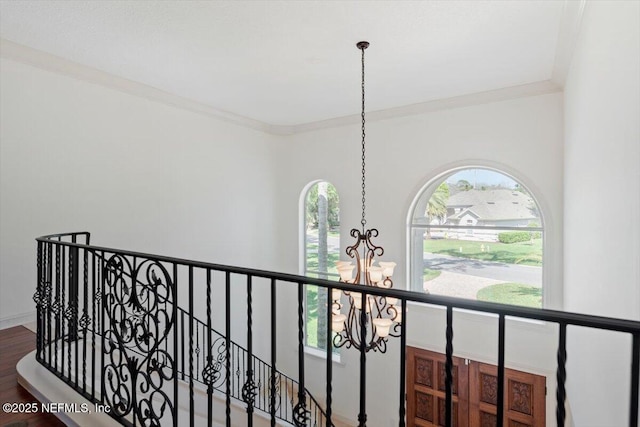 13648 Marsh Harbor Dr N, Jacksonville, FL 32225 - hallway featuring ornamental molding, an upstairs landing, an inviting chandelier, and wood finished floors