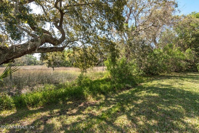 13648 Marsh Harbor Dr N, Jacksonville, FL 32225 - view of landscape