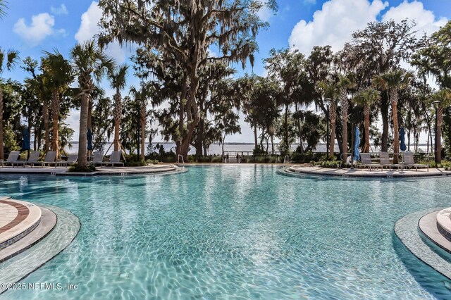 157 Oak Pk Dr, Saint Johns, FL 32259 - view of community pool